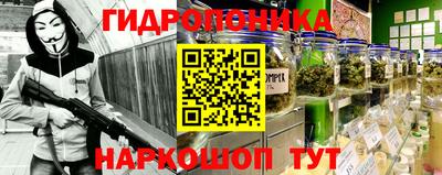 прущие грибы Усть-Илимск