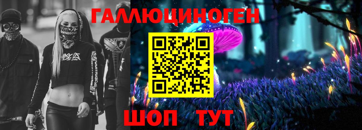 Галлюциногенные грибы прущие грибы  Вход с VPN  Минусинск  Галлюциногенные грибы мицелий 